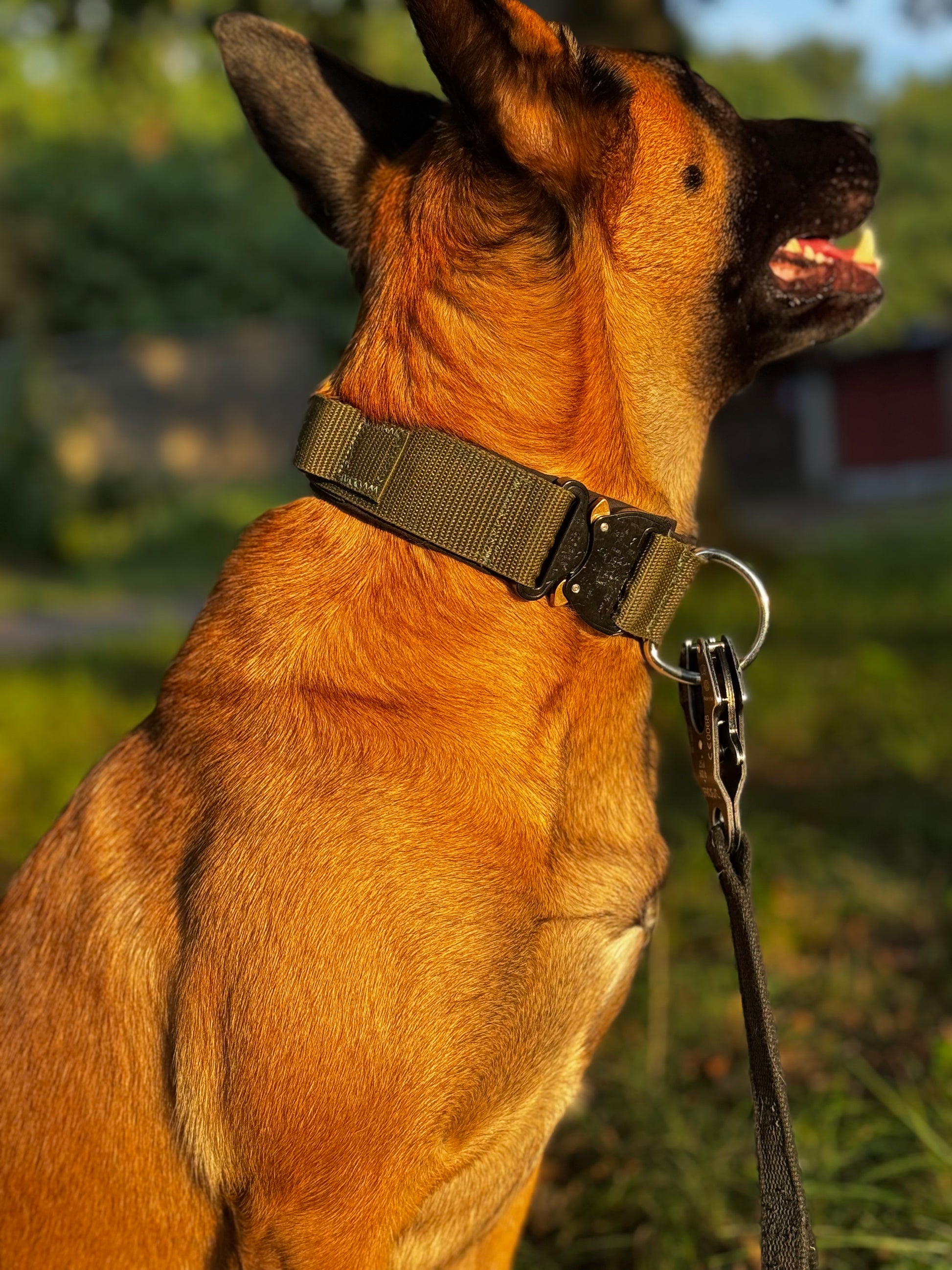 COBRA® 4cm - True Command