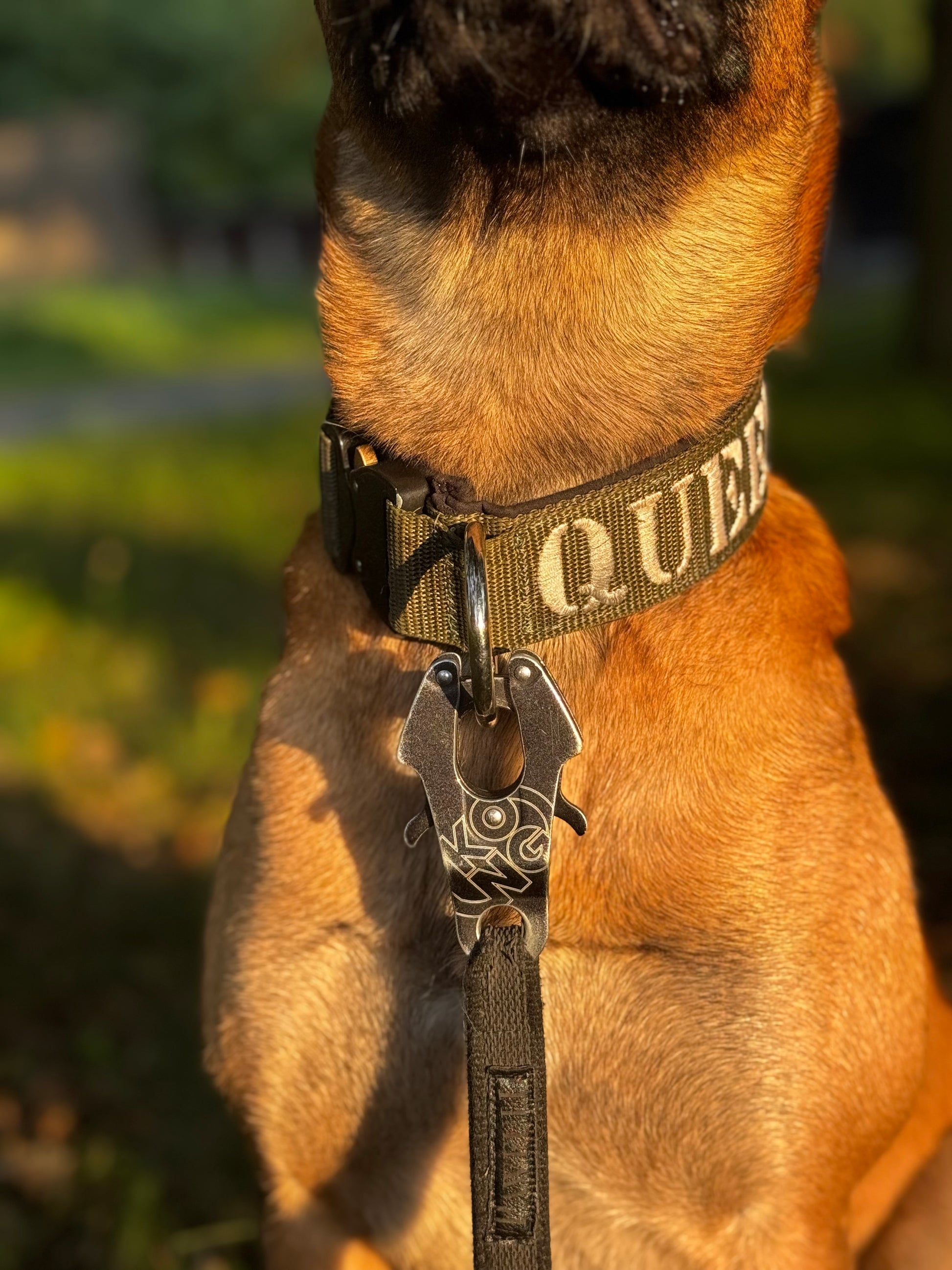 COBRA® 4cm - True Command