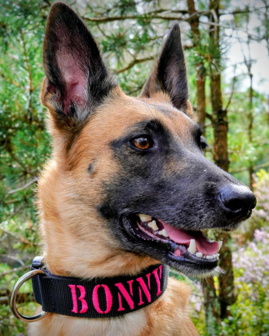 4cm Core Collar ohne Griff