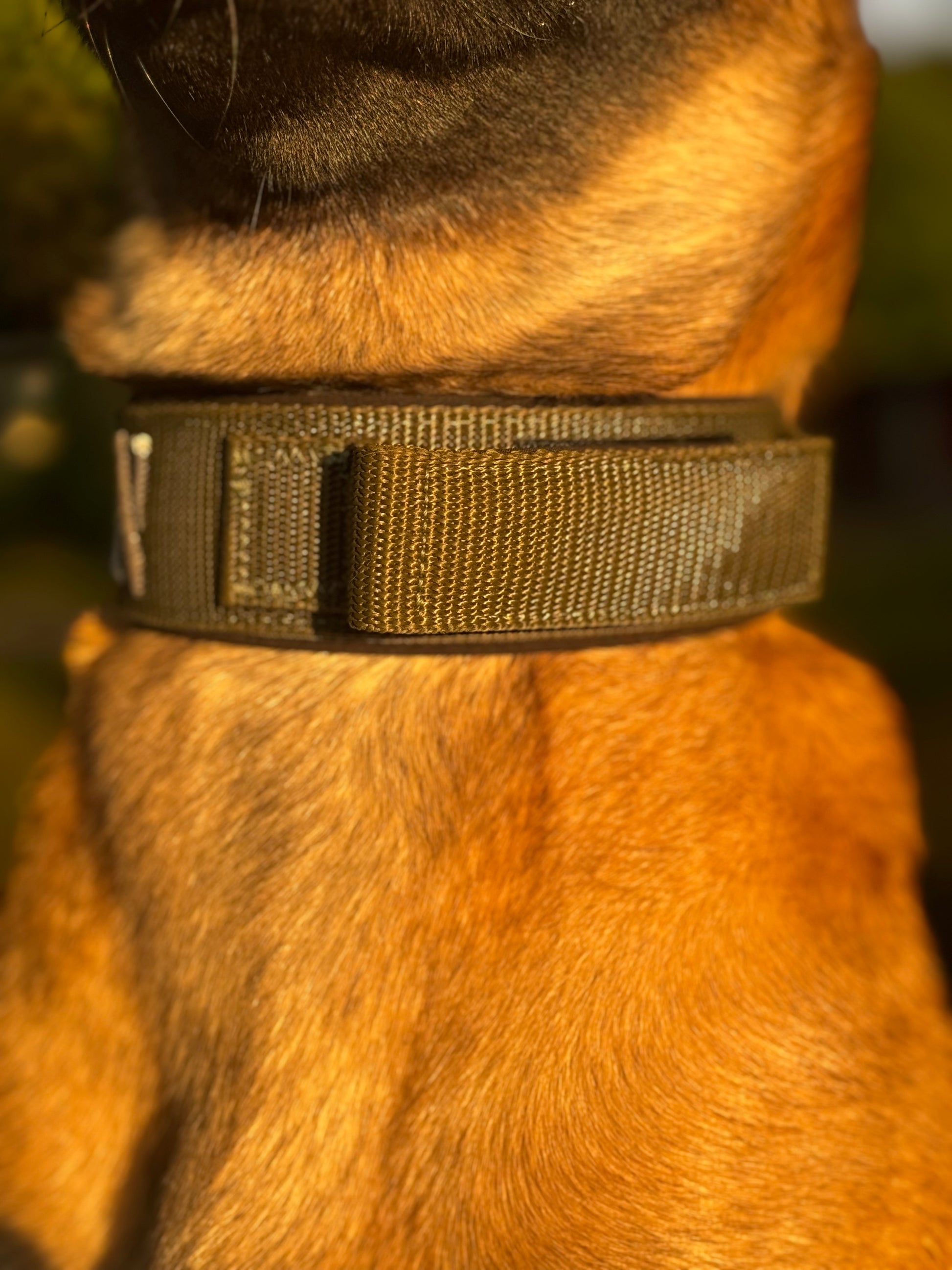 COBRA® 4cm - True Command